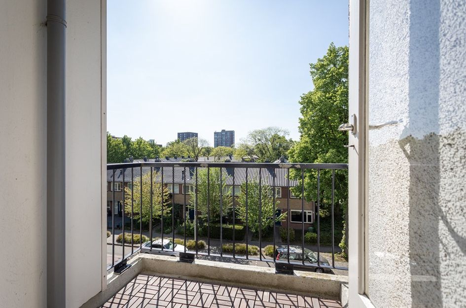 Pisanostraat 28