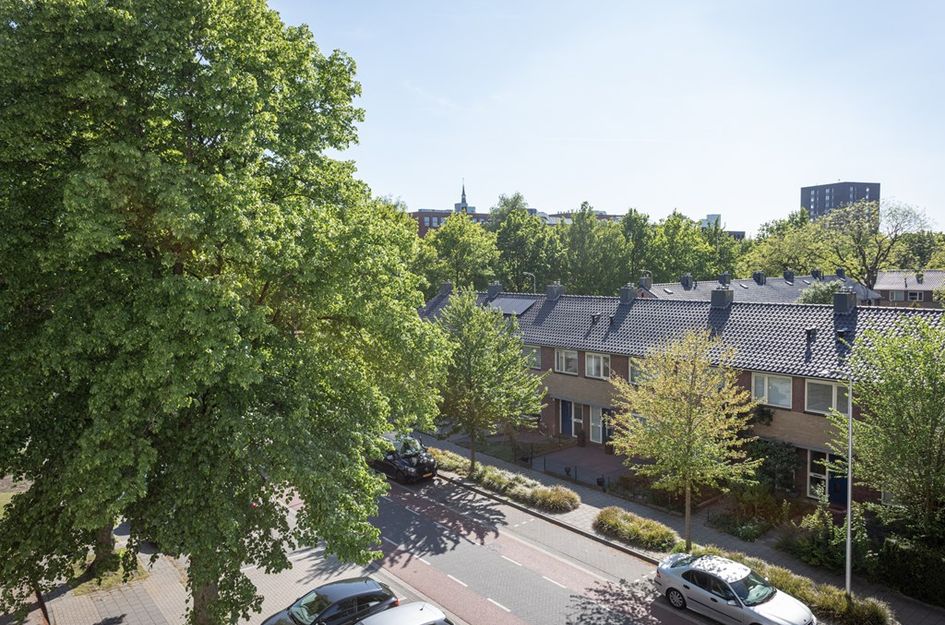 Pisanostraat 28