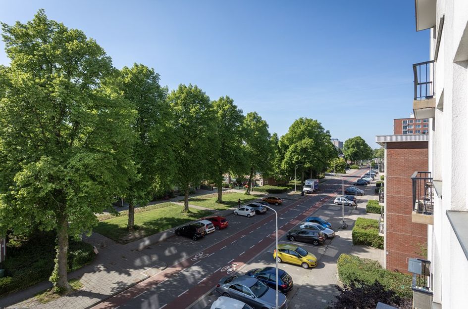 Pisanostraat 28
