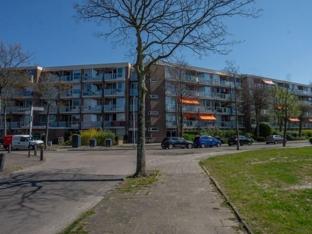 Hadewijchstraat , Alkmaar