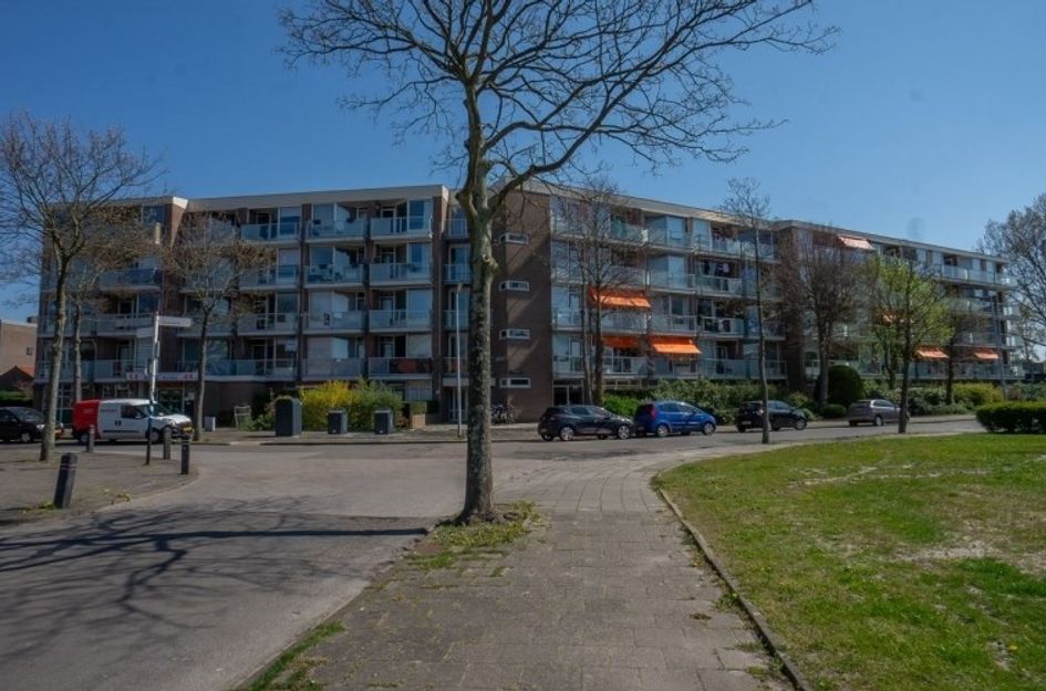 Hadewijchstraat 