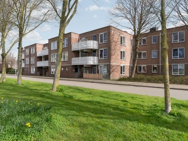 Kreekwaard , Alkmaar