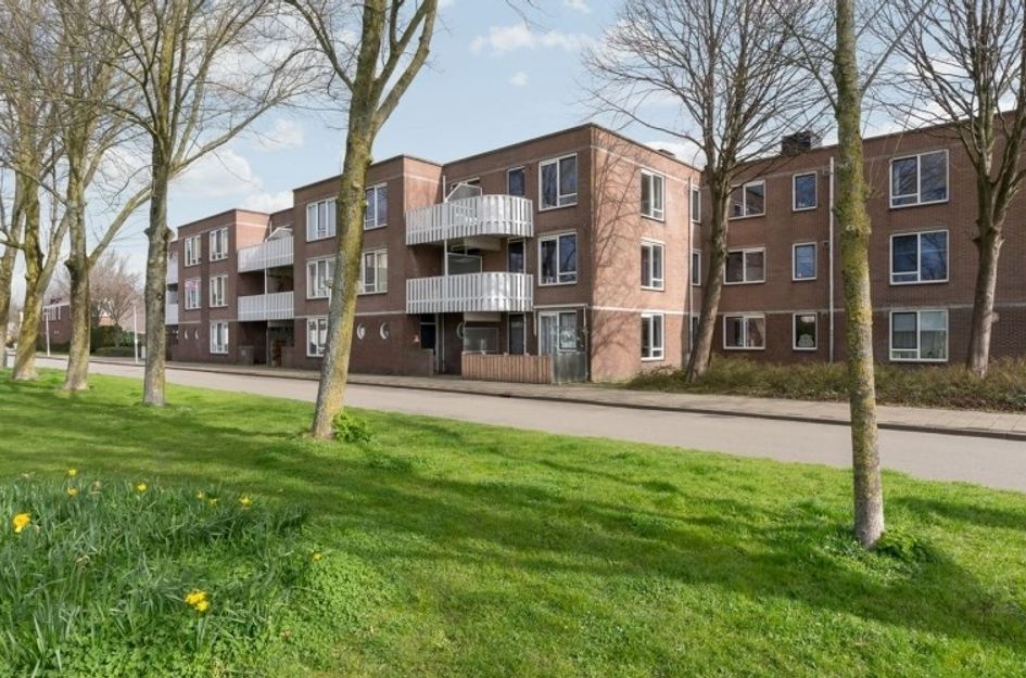 Kreekwaard 