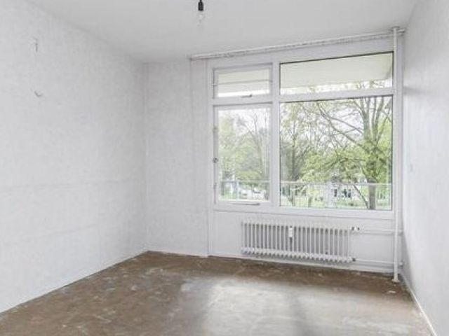 Amerbos , Amsterdam