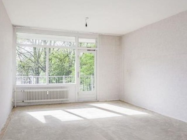 Amerbos , Amsterdam