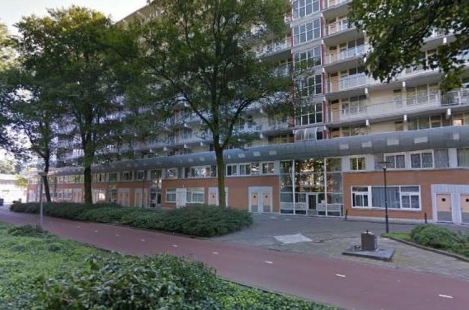 Hoogoord 