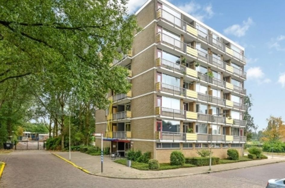Hakfortlaan 