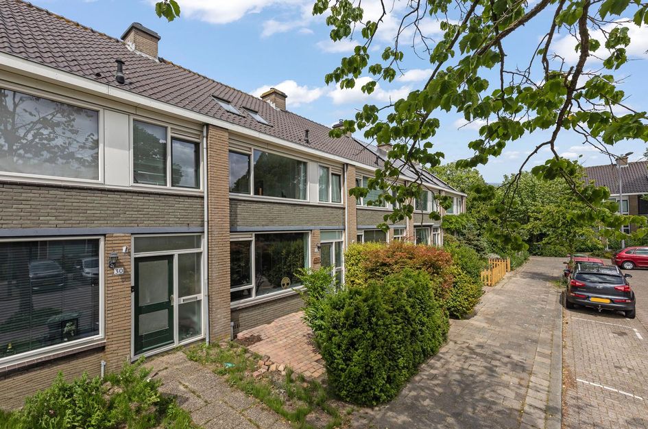 Wittebrem 32