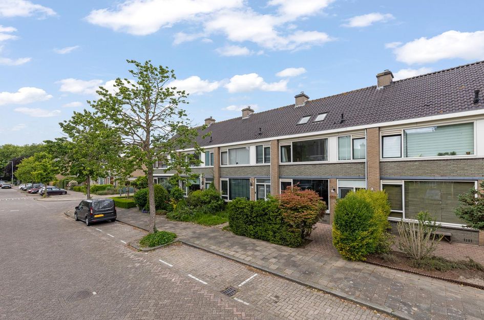 Wittebrem 32
