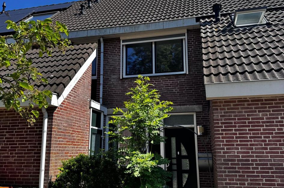 Hondsdraf 58