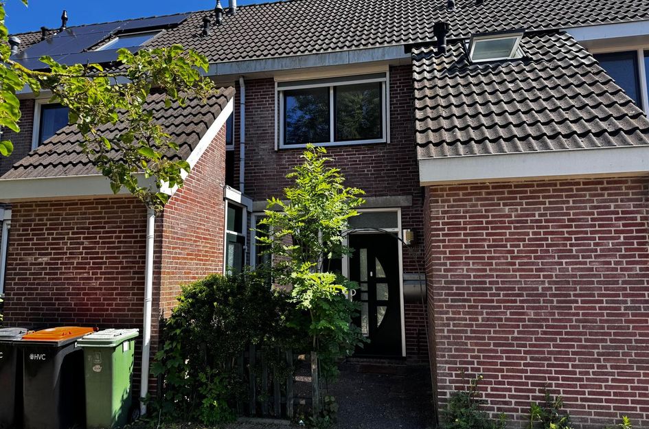 Hondsdraf 58