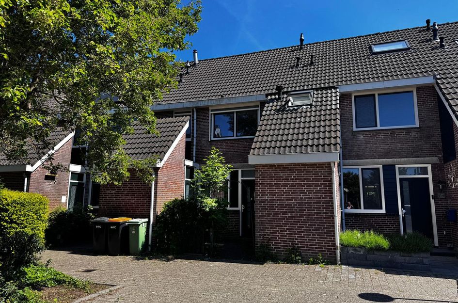 Hondsdraf 58