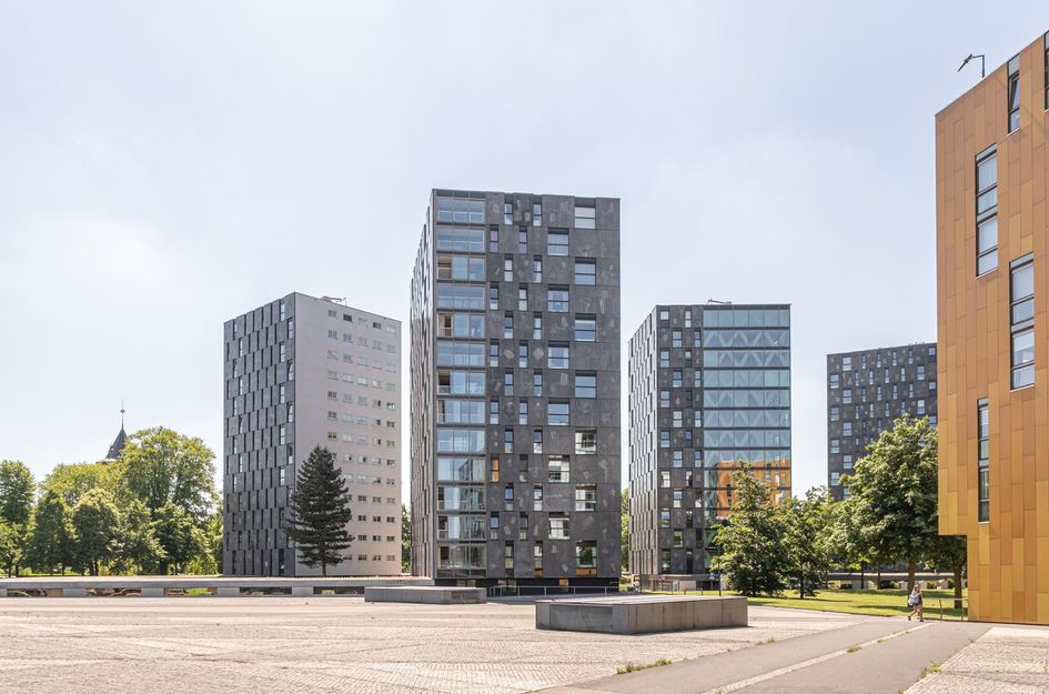 Nonnenveld 481