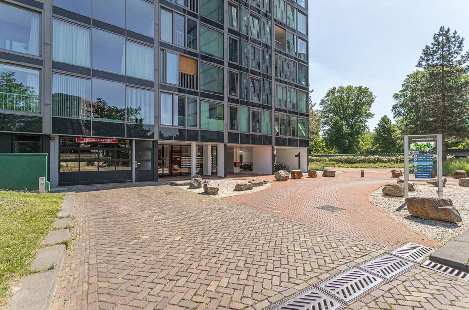 Nonnenveld 481