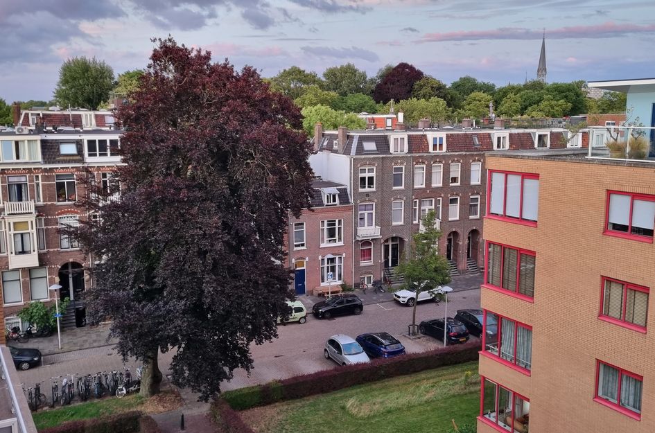 Hartingstraat 138
