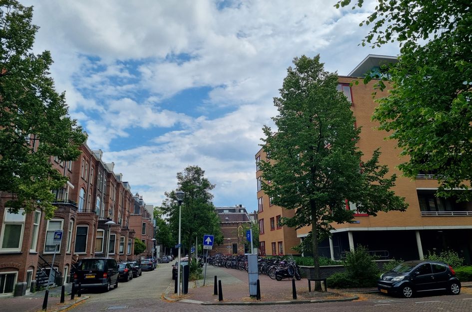 Hartingstraat 138