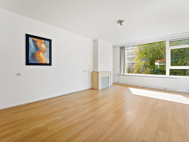 Louis Davidsstraat 229, 'S-Gravenhage