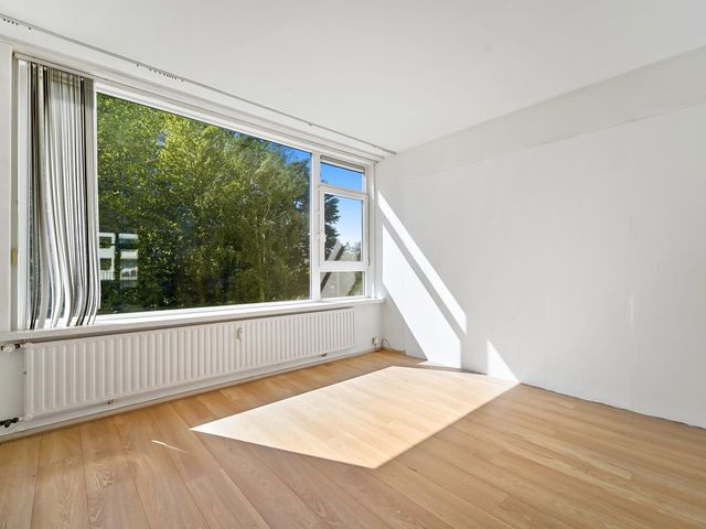 Louis Davidsstraat 229, 'S-Gravenhage