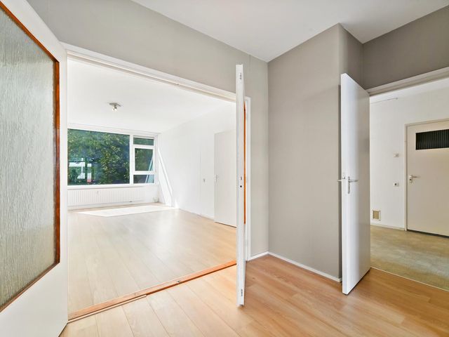 Louis Davidsstraat 229, 'S-Gravenhage