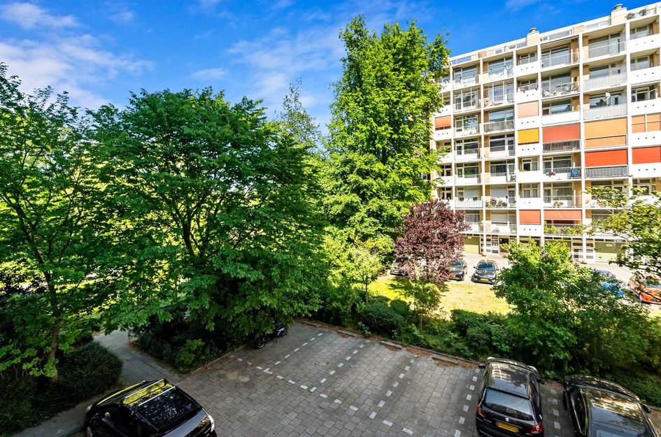 Louis Davidsstraat 229