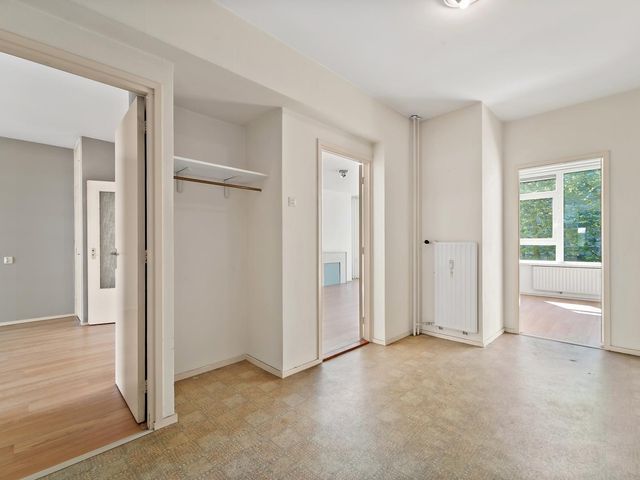 Louis Davidsstraat 229, 'S-Gravenhage