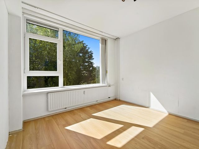 Louis Davidsstraat 229, 'S-Gravenhage