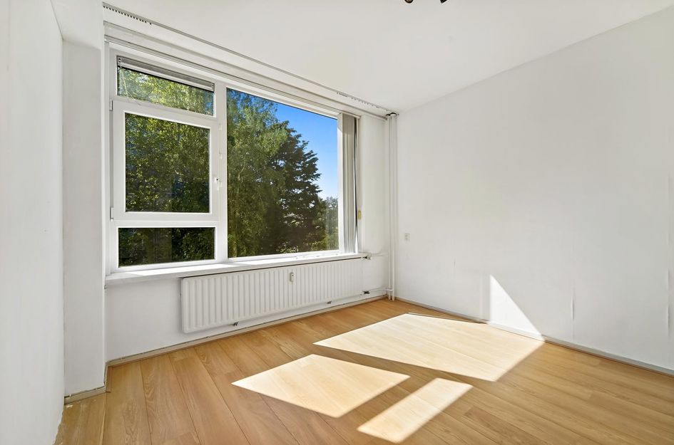Louis Davidsstraat 229