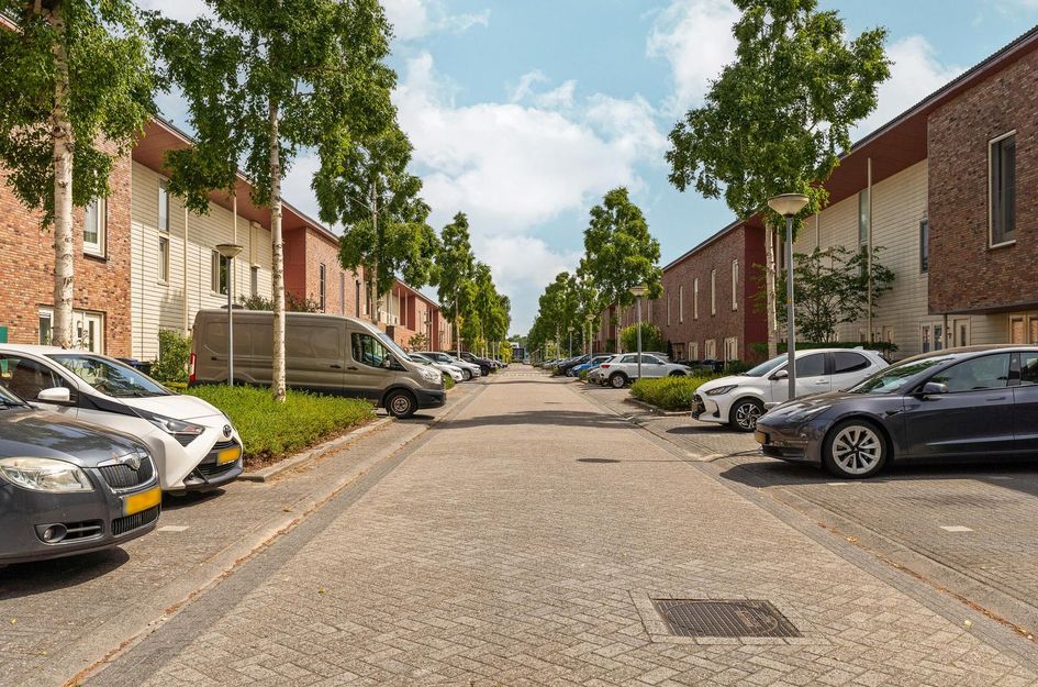 Brancusistraat 22