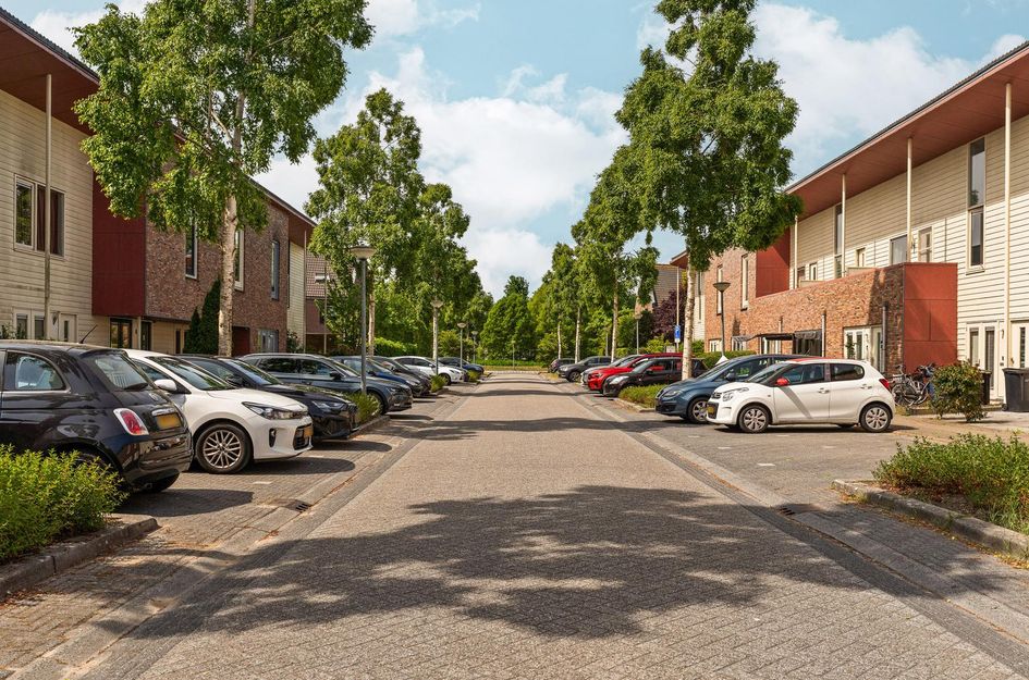 Brancusistraat 22