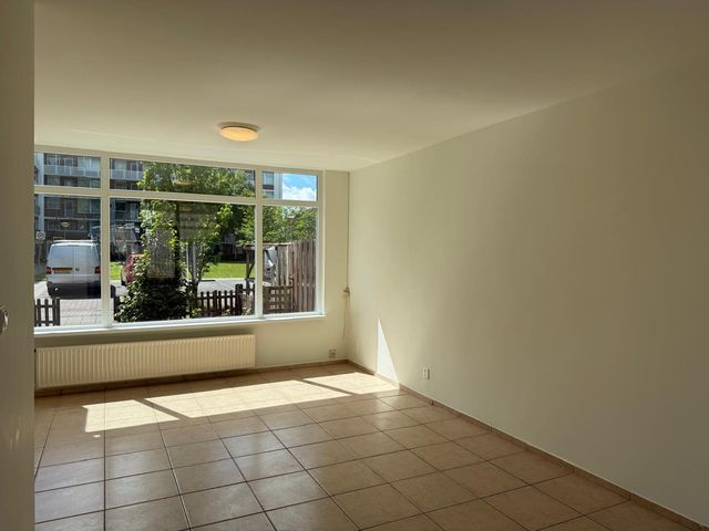 Leverkruidweg 46, Zaandam