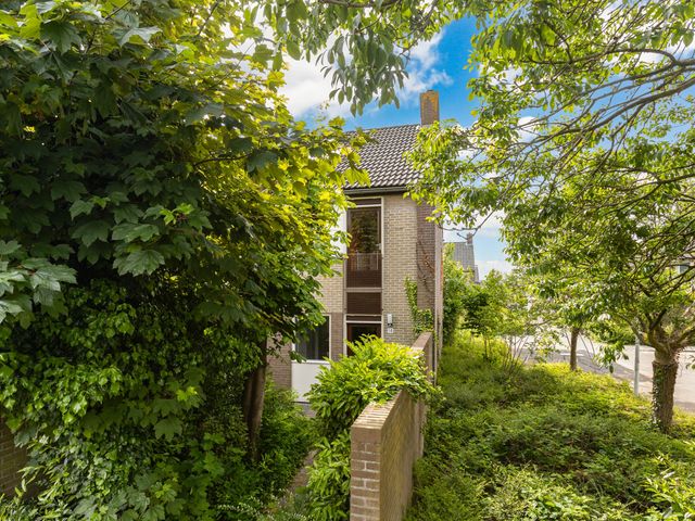 Domela Nieuwenhuisstraat 14, Papendrecht