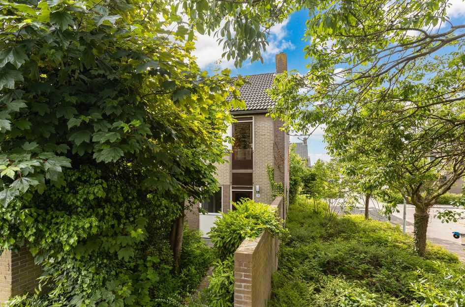 Domela Nieuwenhuisstraat 14