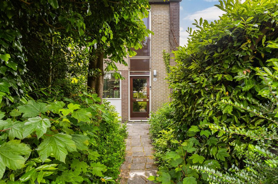 Domela Nieuwenhuisstraat 14