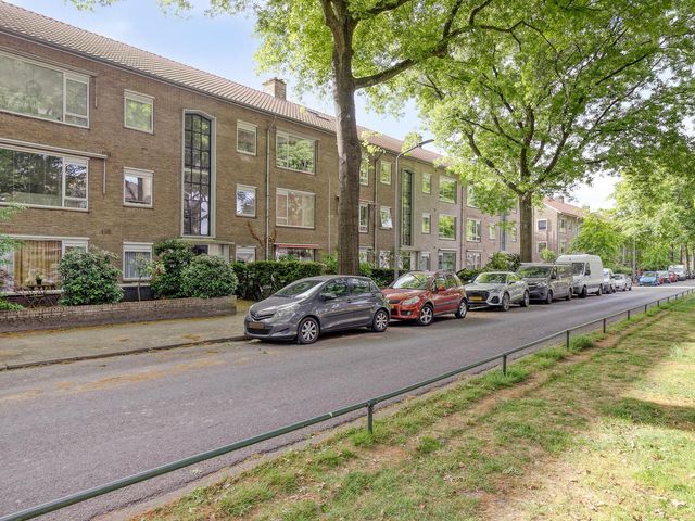 Bosdrift 217, Hilversum