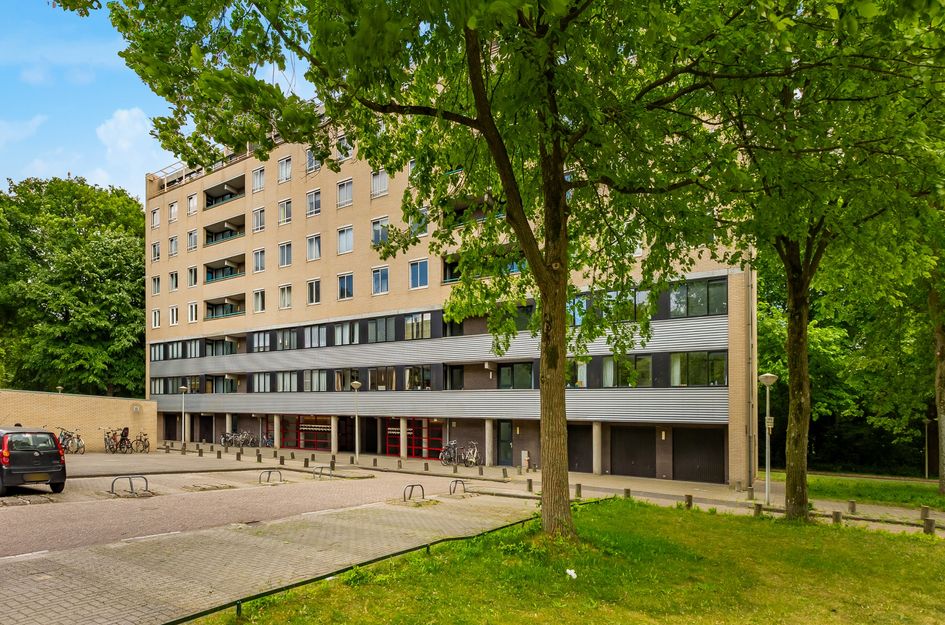 Wittgensteinlaan 322