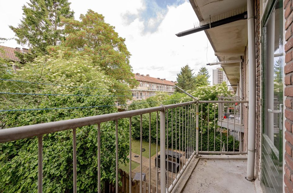 Tapuitstraat 51B