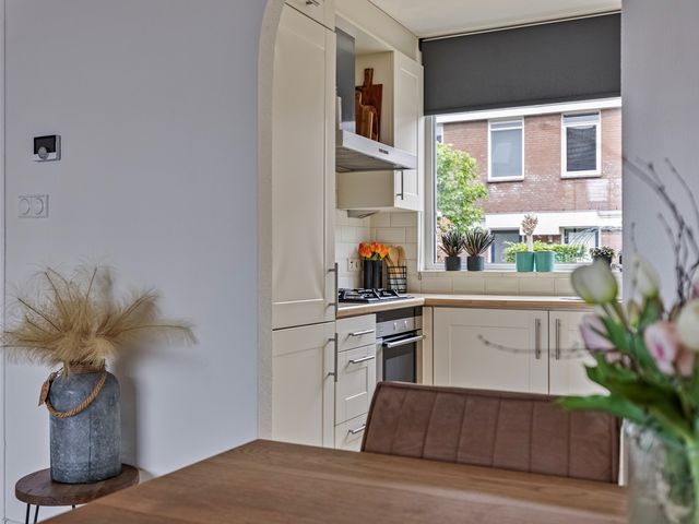 Tuinfluiter 8, Sommelsdijk