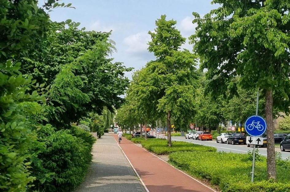 Burgemeester De Zeeuwstraat 27