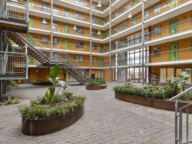 Pattistpark 169, Terneuzen