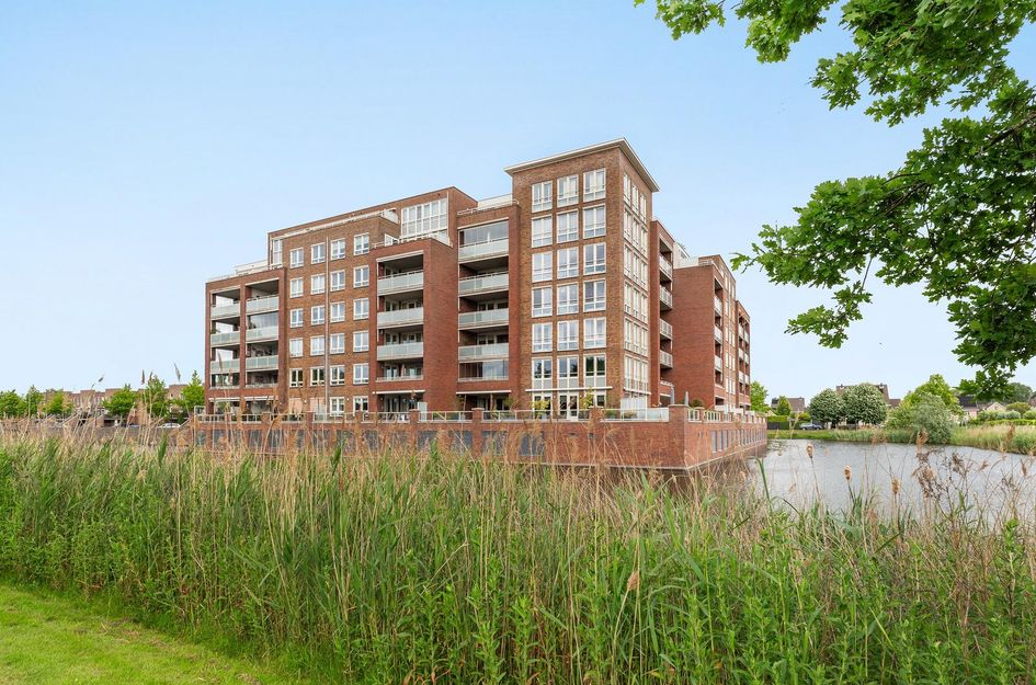 Palissanderhout 78