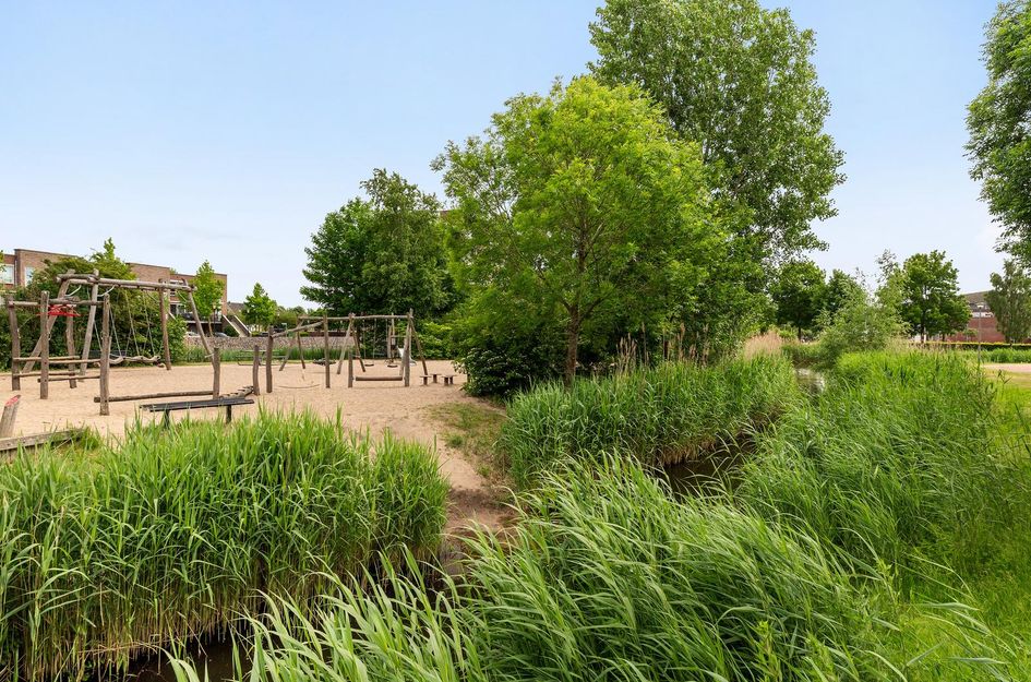 Palissanderhout 78