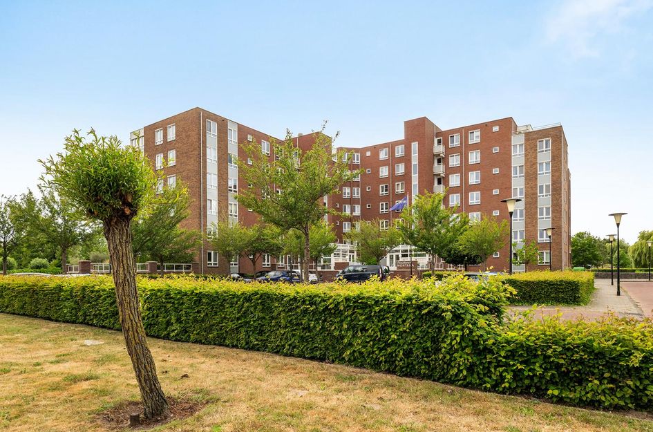 Palissanderhout 78
