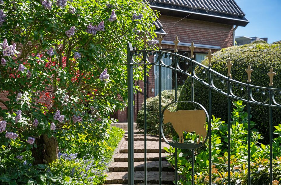 Bermweg 31