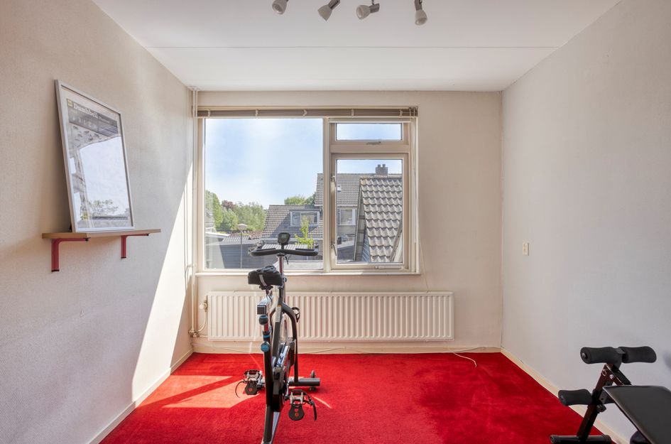 Steurstraat 53