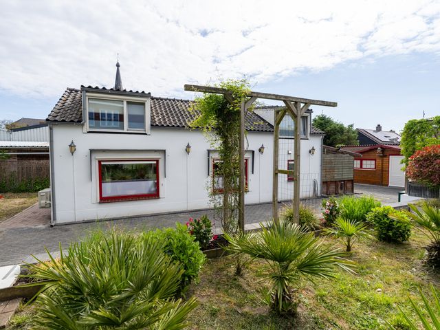 Buitendijk 68, Hank