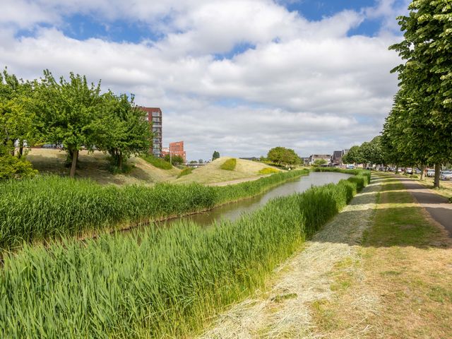 Goudkarpersingel 8, Den Haag