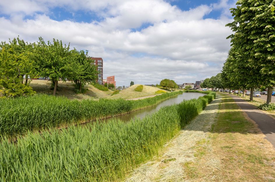 Goudkarpersingel 8
