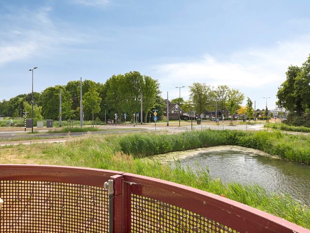 Kamilleveld 38, Schiedam