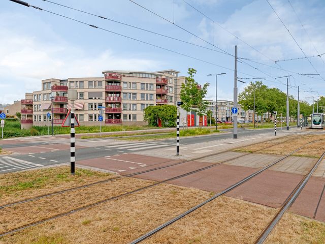Kamilleveld 38, Schiedam