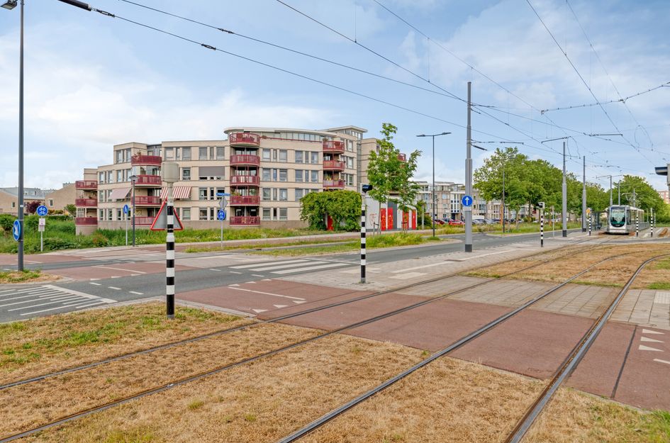 Kamilleveld 38